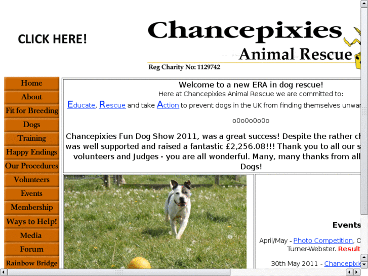 www.chancepixiesanimalrescue.com