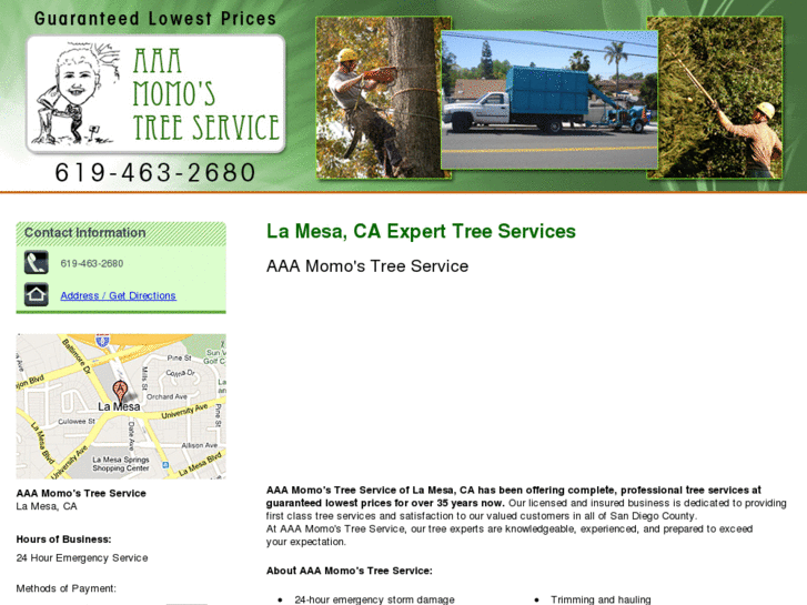 www.momostreeservice.com