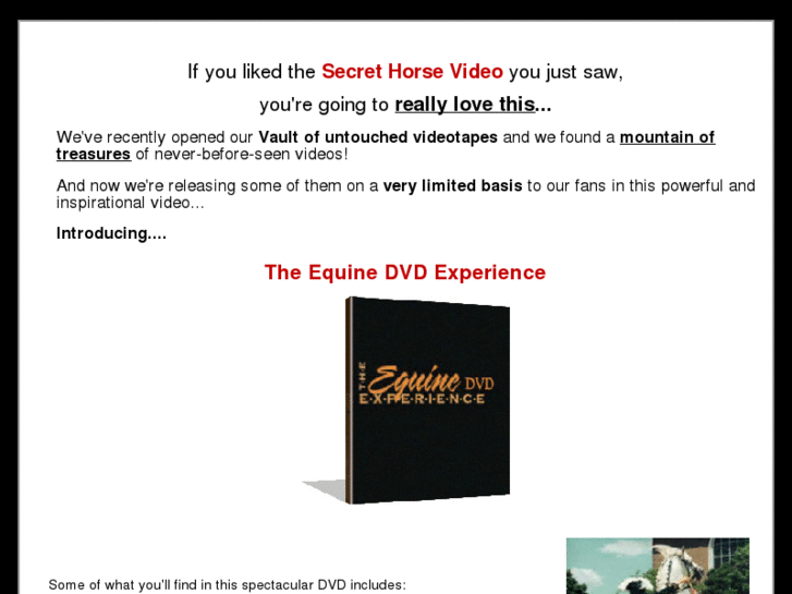 www.morehorsevideos.com