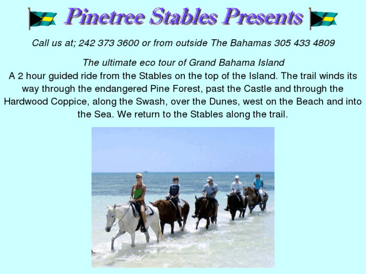 www.pinetree-stables.com