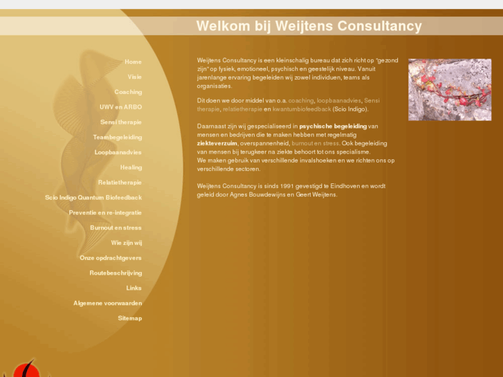 www.weijtensconsultancy.nl