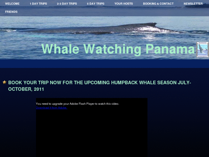 www.whalewatchingpanama.com