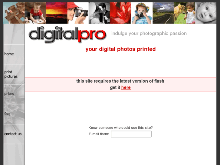 www.digitalpro.co.nz