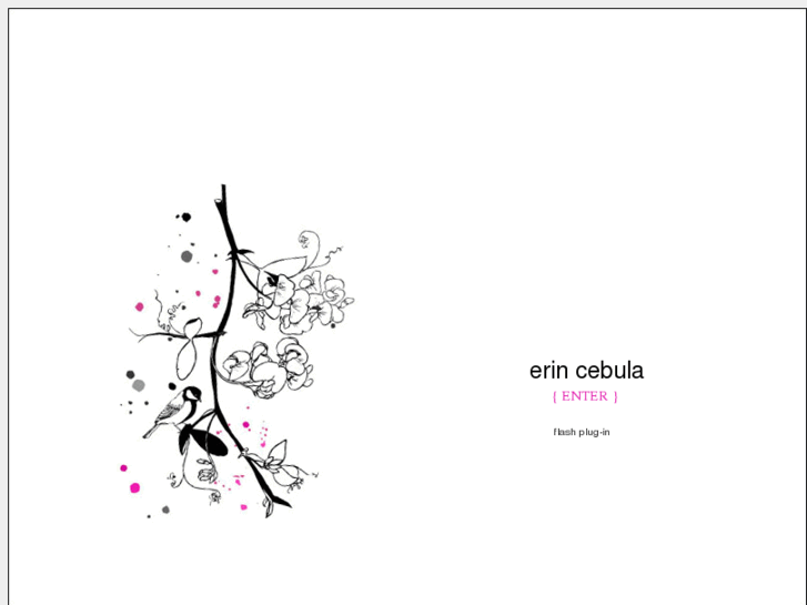 www.erincebula.com