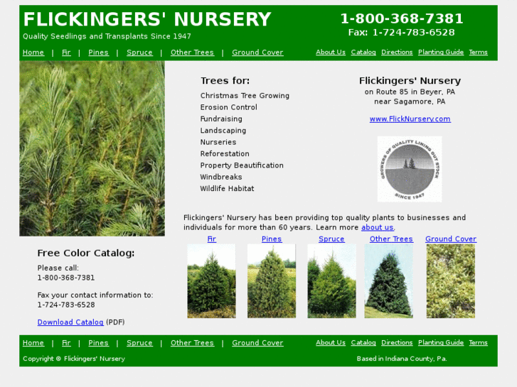 www.flicknursery.com