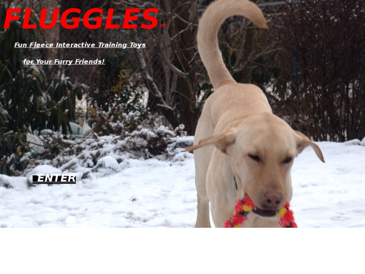 www.fluggles.net