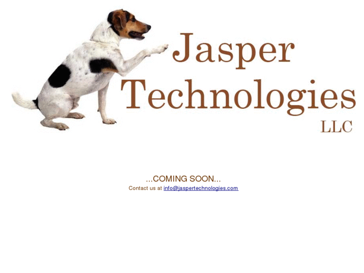 www.jaspertechnologies.biz