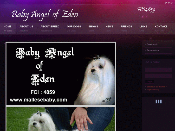 www.maltesebaby.com