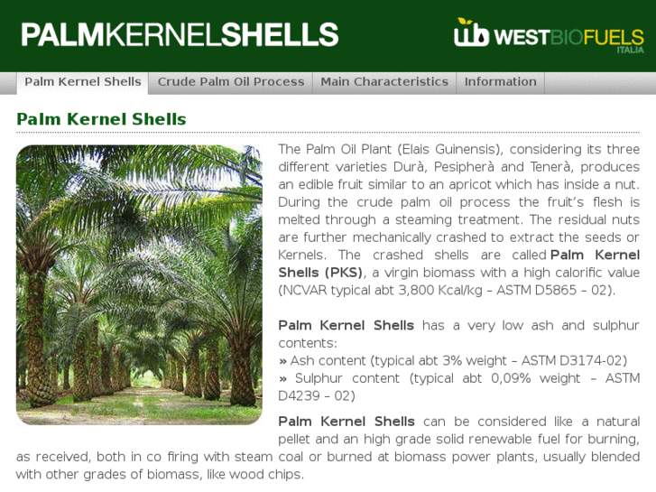 www.palmkernelshell.com