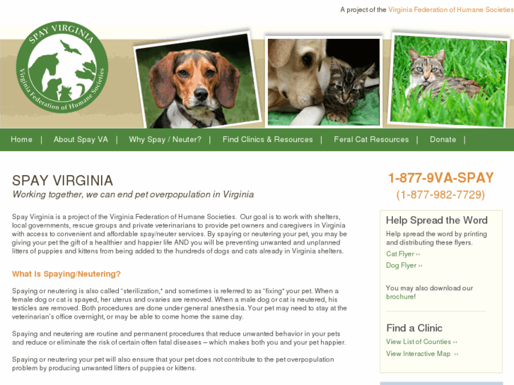 www.spayva.com