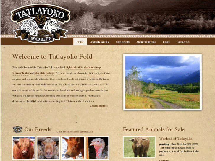 www.tatlayokofold.com