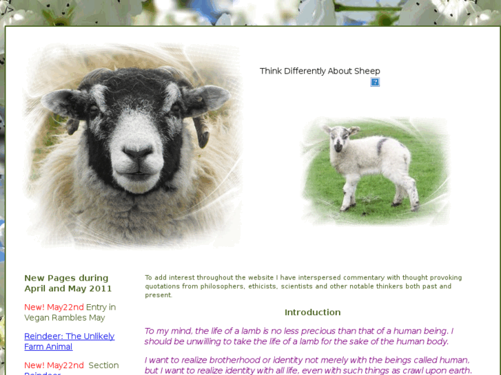 www.think-differently-about-sheep.com