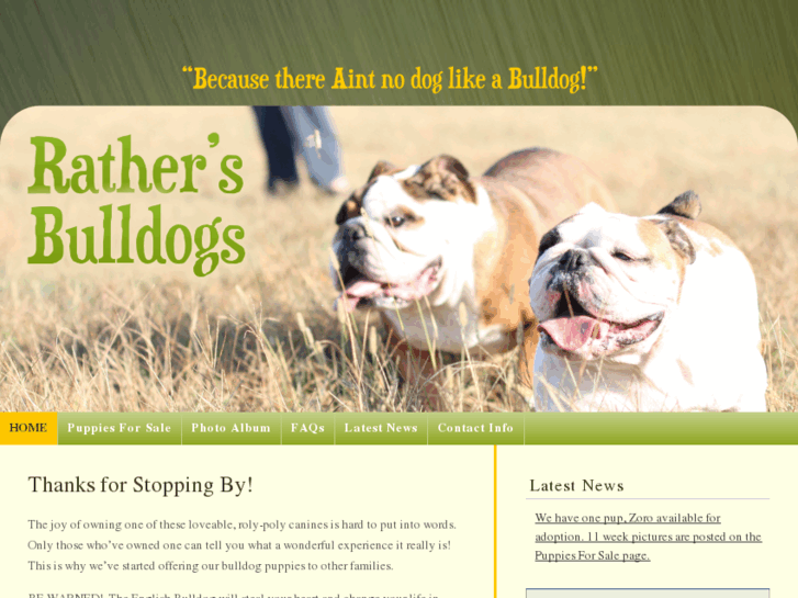 www.rathersbulldogs.com