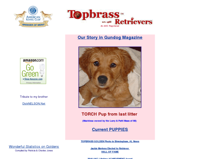 www.topbrass-retrievers.com