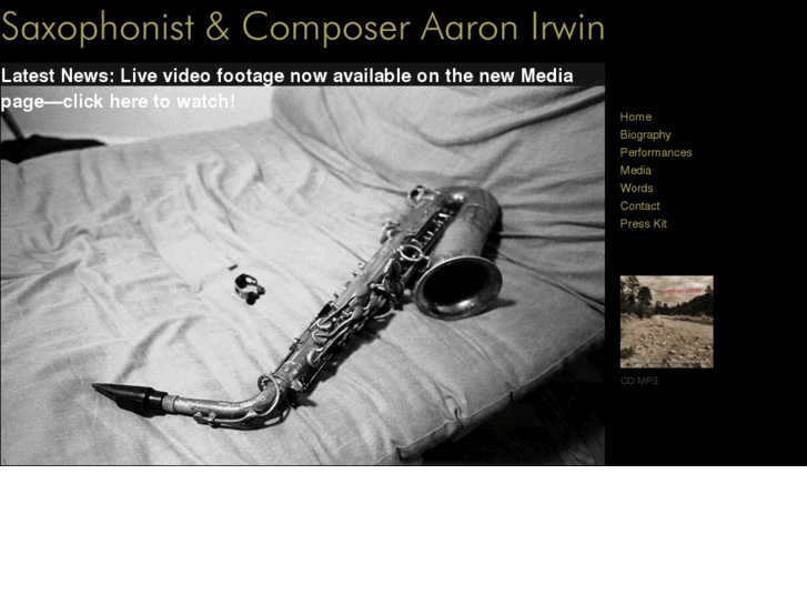 www.aaronirwin.com