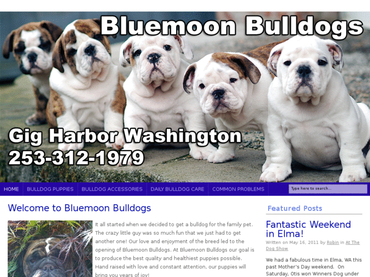 www.bluemoonbulldogs.com