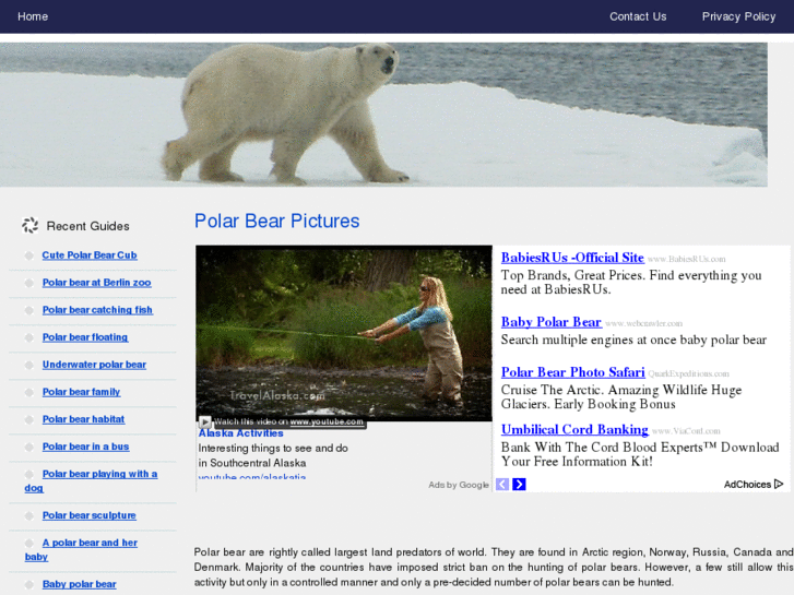 www.polarbearpictures.org