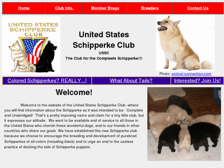 www.usschipclub.com