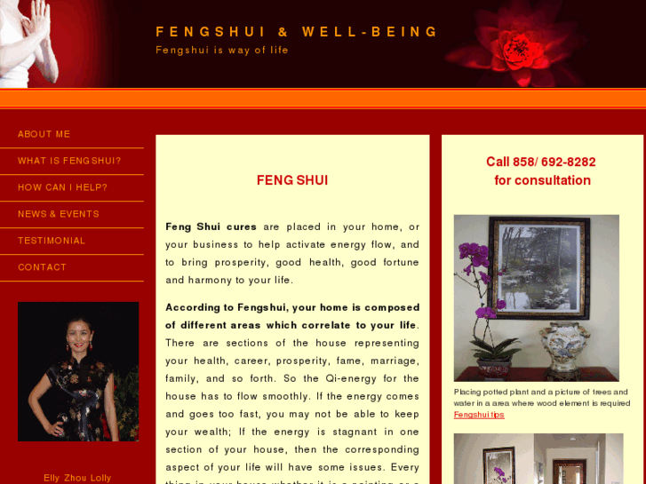 www.fengshuiwellbeing.com