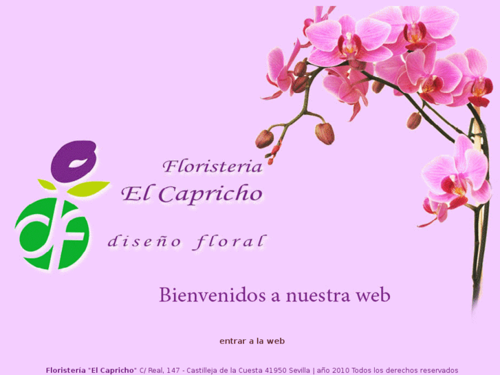 www.floristeriaelcaprichofloristas.com