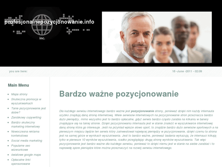 www.profesjonalnepozycjonowanie.info