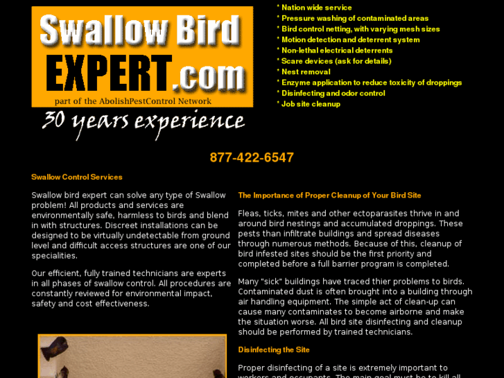 www.swallowbirdexperts.net