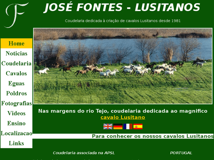 www.cavalos-lusitanos.com