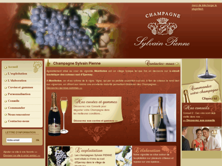 www.champagne-sylvain-pienne.com