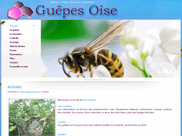 www.guepes-oise.com