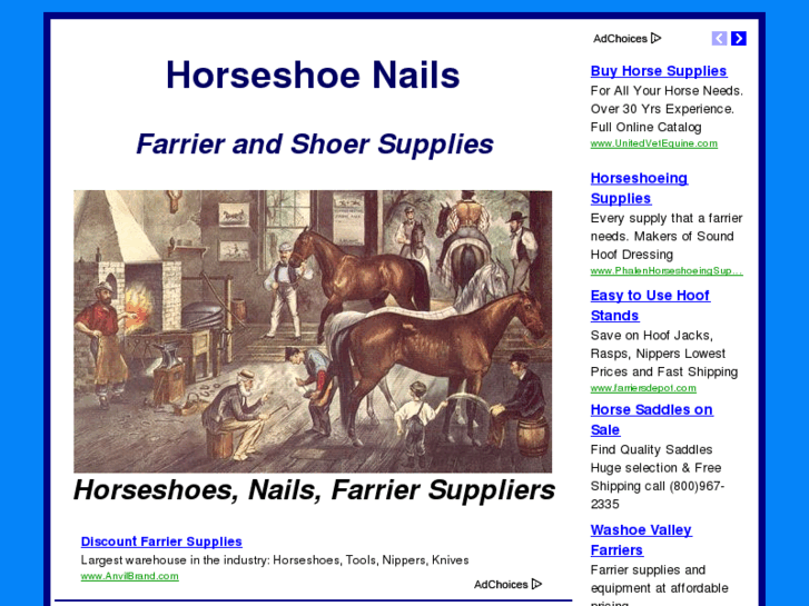 www.horseshoe-nails.com