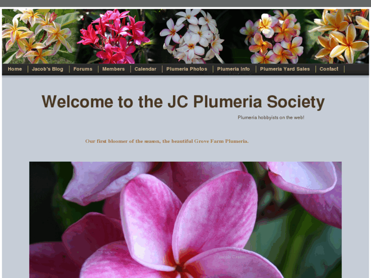 www.jcplumeriasociety.com