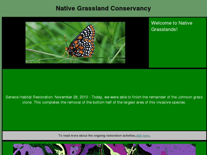 www.nativegrasslands.com