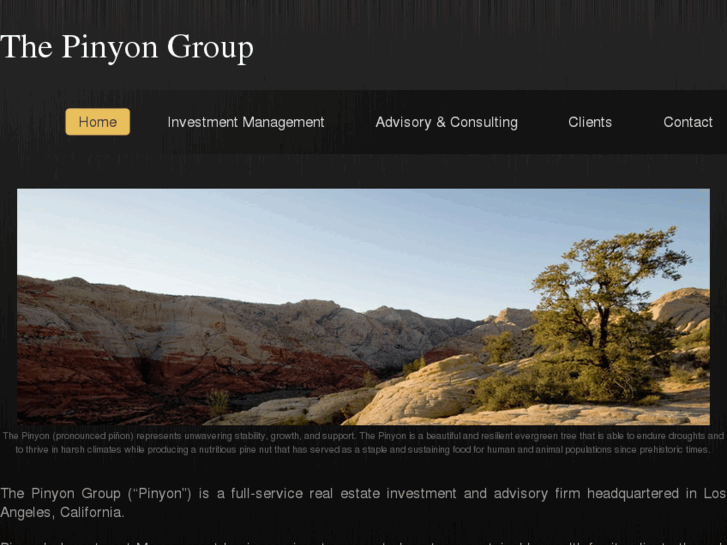 www.pinyongroup.com