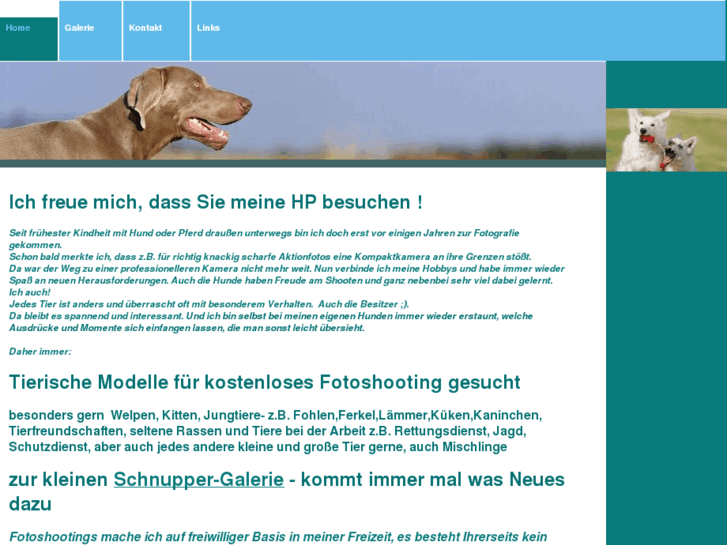 www.steuer-an.net