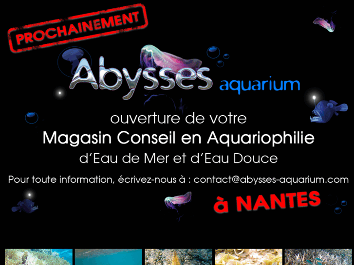 www.abysses-aquarium.com