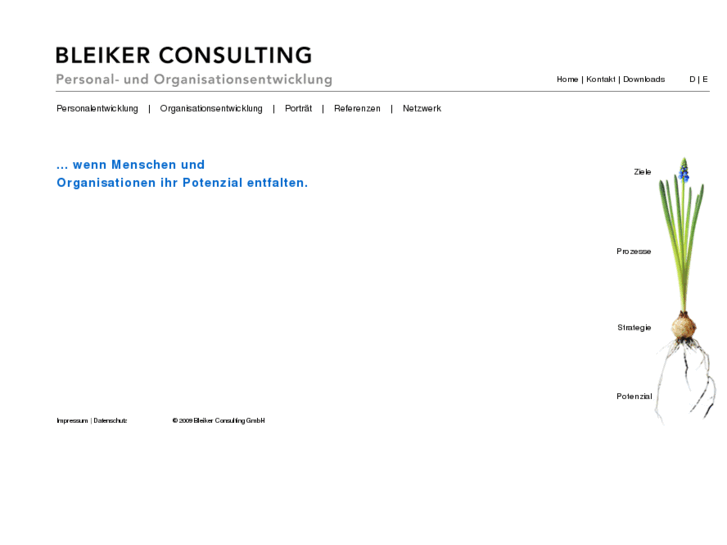 www.bleikerconsulting.com