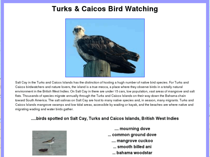 www.turksandcaicosbirdwatching.com