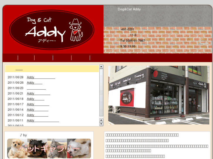 www.addypet.com