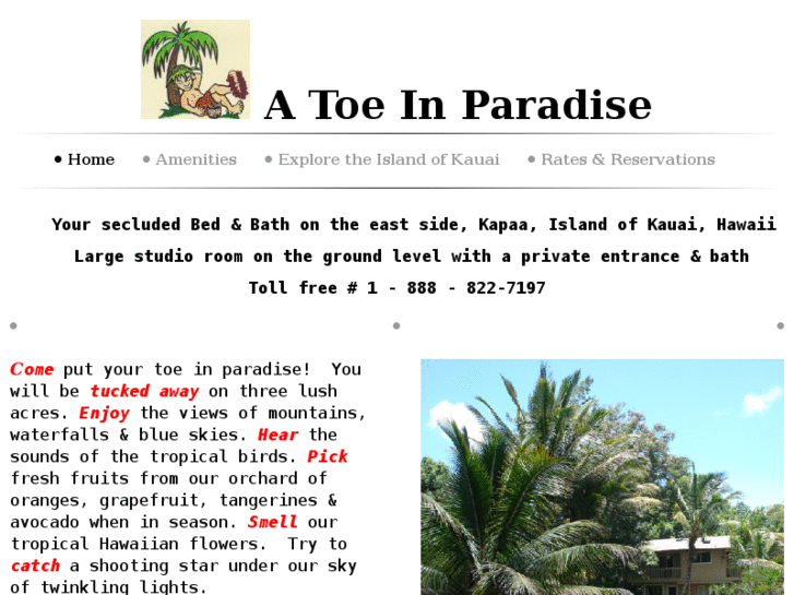 www.atoeinparadise.com