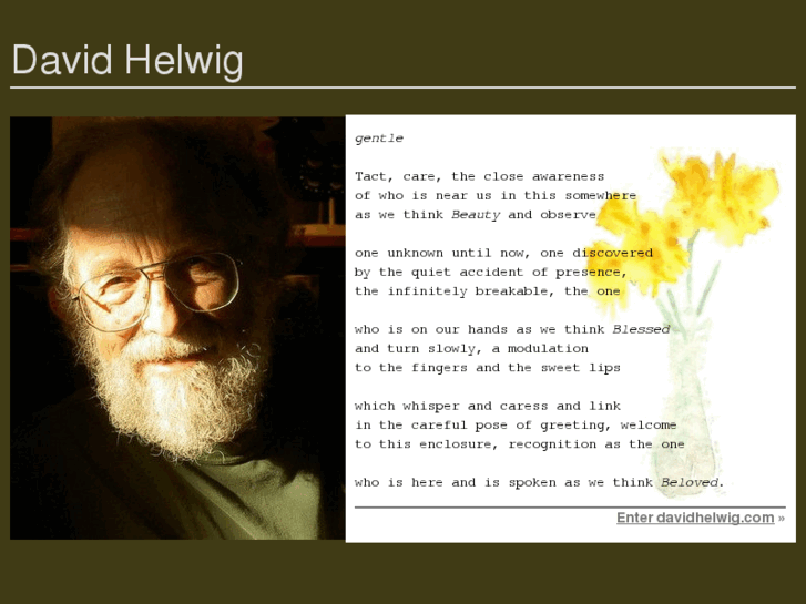 www.davidhelwig.com