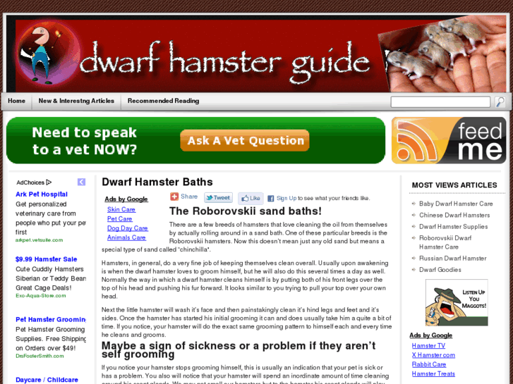 www.dwarfhamsterguide.com