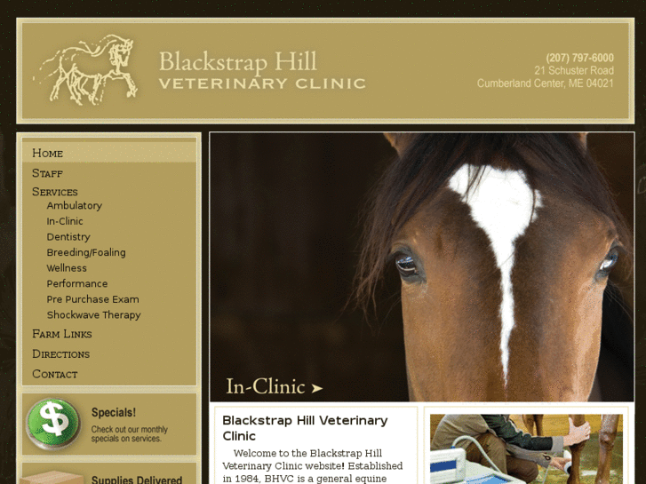 www.mainehorsevet.com