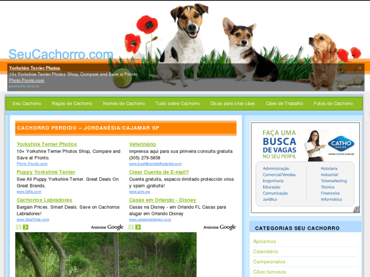 www.seucachorro.com
