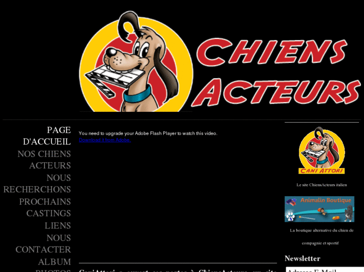 www.chiensacteurs.com