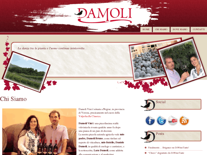 www.damolivini.com