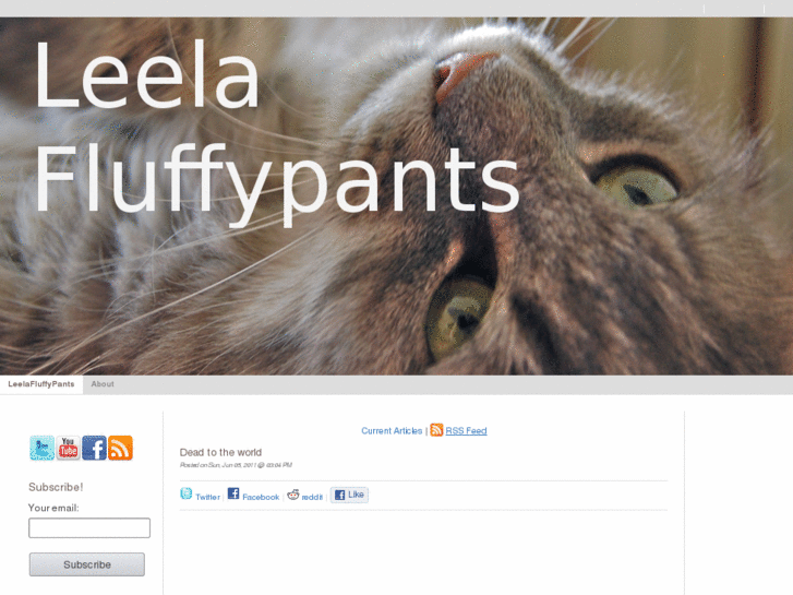 www.leelafluffypants.com