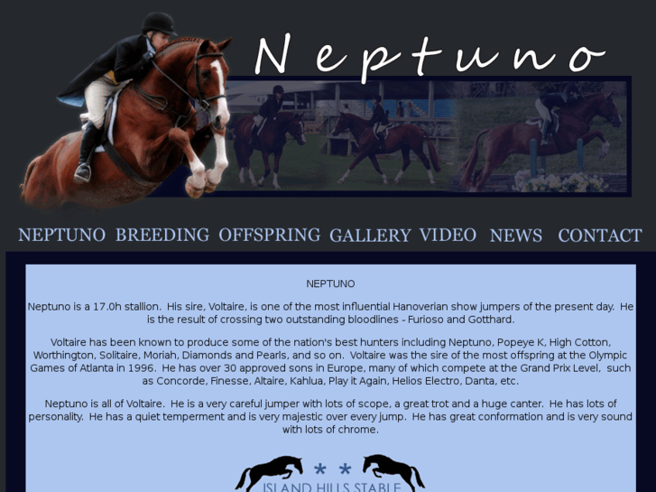 www.neptunostallion.com