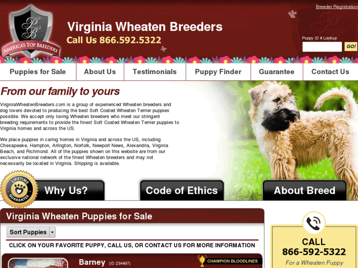 www.virginiawheatenbreeders.com