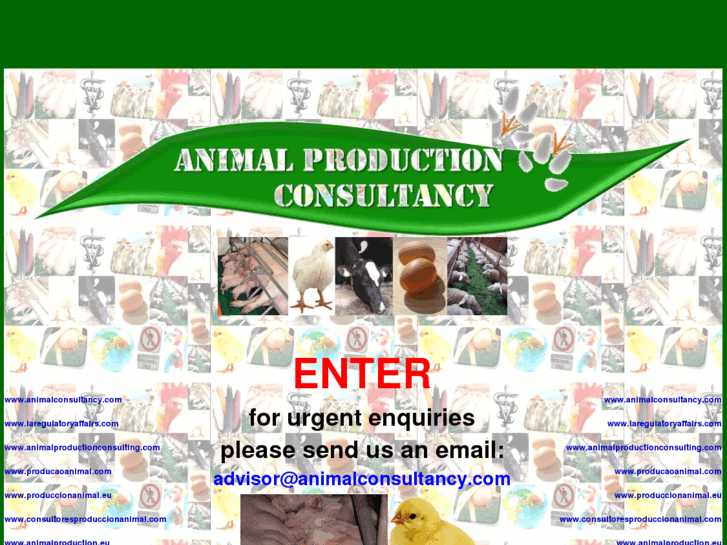 www.animalproduction.eu