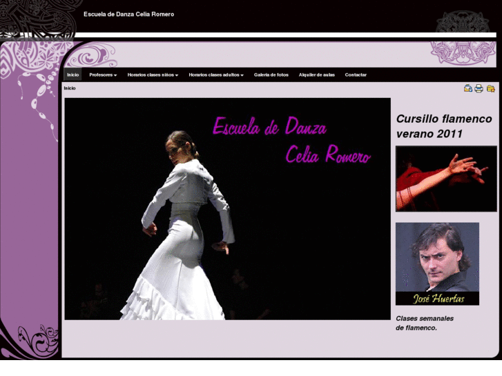 www.escueladedanzaceliaromero.com